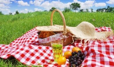 Locations For A Perfect Picnic