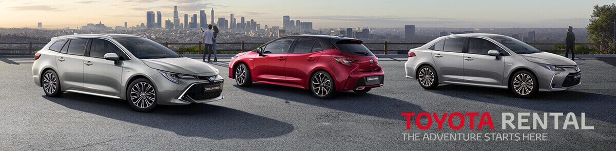 Toyota Rental Services