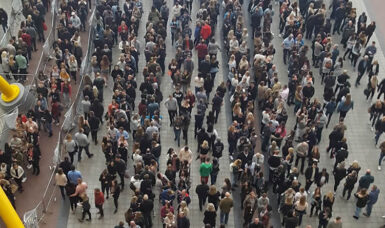 Driving Licences & Brexit, Here Is What You Need To Know