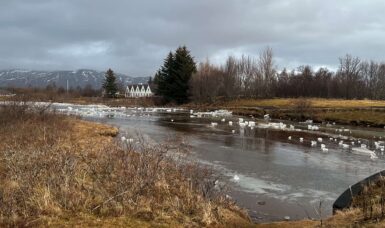 Golden Circle Road Trip