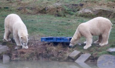 Top 5 Family Attractions in Yorkshire