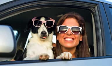 Pet Friendly Car Hire