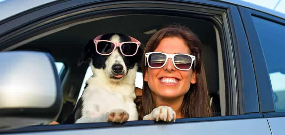 pet friendly car hire